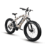 QuietKat Predator 750W Electric Bike, w/Mid-Drive Motor, Chain Drive, 9 Speed, Air Suspension Fork, Hydraulic Disc Brakes, Camo, One Size Fits Most, 18QKM750CCAH-CAM