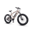 QuietKat Ranger 750W Electric Bike, w/ Rear Hub Motor, Chain Drive, 7 Speed, Suspension Fork, Mechanical Disc Brakes, Camo, One Size Fits Most, 18QKH750CCS-C
