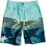 Quiksilver Everyday Lightning 18 Boardshorts - Boys, Majolica Blue, 25/10, EQBBS03467-BSM6-25/10