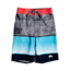 Quiksilver Highline Slab 14 Inch - Boys, Hibiscus, 6, EQKBS03233-RMZ6-6