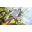 Rambo Bikes 1000W XP TrueTimber VSX Camo Enviolo Bike, 17AH, 1000 XPE