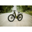Rambo Bikes Rebel 2.0 Bicycle, OD Green, Large, REB2.0-ODG