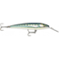 Rapala CountDown Magnum Elite 145 Jig, Armored Sardine, CDMAGE145AMSRD