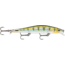 Rapala RipStop 12 Lure, Yellow Perch, RPS12YP