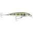 Rapala X-Rap Saltwater 8 Slashbait, Suspending, 1/4 oz 3-1/8&quot;, 3-5 Ft, #6 Hooks, Pinfish, SXR08PF