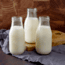 ReadyWise Simple Kitchen Whey Milk Alternative - 3 CT Case, 93 Serving Cans, RWSKCN06-018
