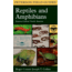 Reptiles &amp; Amphibians East, Peterson Field Guide, Publisher - Houghton Mifflin