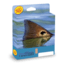 Rio Redfish - WF8F Aqua Blue