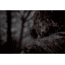 RIX 2x15mm Thermal Imaging Monocular, 50 Hz, 384x288, Black, Small, RIX POCKET K3