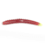 Roboworm Ned Worm 3in, 8 pack, Morning Dawn-Chartreuse, N3-HK3O