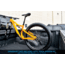RockyMounts Ford Bike Rack, 10996