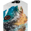 Rossignol All Mountain Snowboard XV Sushi LG Wide Split - Mens, 145, REIWP42 000145