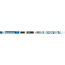Rossignol Evo TR 60 IFP Positrack/ Control SI, 166 Skis, RHGWF30-166