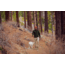 Royal Robbins Venturelayer Fleece 1/4 Zip Pullover - Men's, Large, Cypress, Y412025-190-L