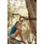 Royal Robbins Tech Travel Tee S/S- Womens, Bowden Heather, M, Y311003-Bowden Heather-M