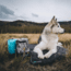 Rumpl The Travel Dog Bed, Loki, Big, TTDB-LOK-B