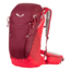 Salewa Alp Trainer 25L Backpack, Ox Blood, One Size 00-0000001230-1910