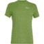 Salewa Puez Melange Dry T-Shirt - Mens, Yucca Melange, L, 00-0000026537-5716-L