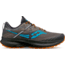 Saucony Ride 15 TR Trail Shoes - Mens, Pewter/Agave, 10, Medium, S20775-25-074-M-10