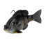 Savage Gear 3D Bluegill RTF Swim Soft Bait