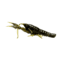 Savage Gear 3D Craw 4in 1/4oz F, Green Pumpkin, 2933