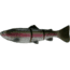 Savage Gear 3D Line Thru Trout