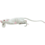 Savage Gear 3D Rat Topwater Hard Bait, 7.75in, 1 oz, White, 1586988