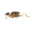 Savage Gear 3D Rat Topwater Hard Bait
