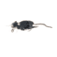 Savage Gear 3D Rat Topwater Hard Bait
