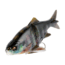 Savage Gear 3D Soft Shine Glide Soft Bait