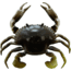 Savage Gear 3D TPE Crab Soft Bait, Pack of 1, 1in, Natural Peeler, 1587138