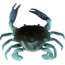 Savage Gear 3D TPE Crab Soft Bait, Pack of 1, 3in, Blue Crab, 1587135