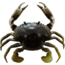 Savage Gear 3D TPE Crab Soft Bait, Pack of 1, 3in, Natural Peeler, 1587136