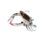 Savage Gear 3D TPE Crab Soft Bait