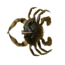 Savage Gear Toughtec Crab Soft Bait, Pack of 1, 0.75in, Green Crab, 1586646