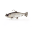 Savage Gear Pulse Tail Baitfish RTF Soft Bait, Pack of 1, 4in, Silver Black Back, 1585631