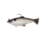 Savage Gear Pulse Tail Baitfish RTF Soft Bait, Pack of 1, 4in, White, 1585632