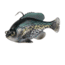 Savage Gear Pulse Tail Bluegill RTF Soft Bait
