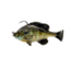 Savage Gear Pulse Tail Bluegill RTF Soft Bait, Pack of 1, 3in, Bluegill, 1586270