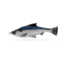 Savage Gear Pulse Tail Shiner Loose Body Soft Bait, Pack of 1, 4in, Shad, 1585593