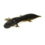 Savage Gear Toughtec NED Salamander Soft Bait