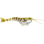 Savage Gear TPE 3D Shrimp Golden, 4in, 1/4oz, Sinking, MS-100-GD