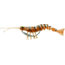 Savage Gear TPE 3D Shrimp New Penny, 2 1/2in, 3/25oz, Sinking, MS-65-NP