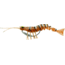 Savage Gear TPE 3D Shrimp New Penny, 4in, 1/4oz, Sinking, MS-100-NP