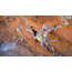 Scarpa Furia S Climbing Shoes, Parrot/Yellow, 39, 70055/000-ParYel-39