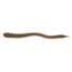 Sea Striker Scented Sand Worm 4", Camo, 18 pack, SS-SW4-CAMO