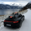 SeaSucker Ski Rack, Black, 32W x 9.5H x 6D, 810046210161