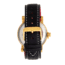 Shield Berge Diver Watch - Mens, Gold/Black, One Size, SLDSH101-6