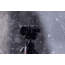 SiOnyx Aurora Pro Night Vision Monocular, Black, C011300