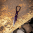 Skallywag Tactical Dagger Purple, SKW67529